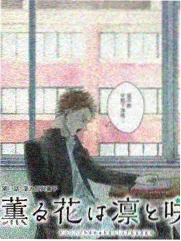 把心动夹进书里 小说封面